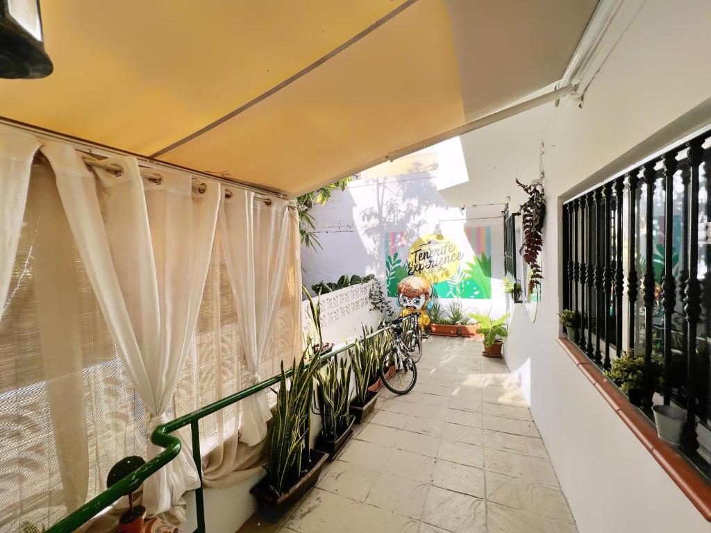 Tenerife Experience Hostel photo 4