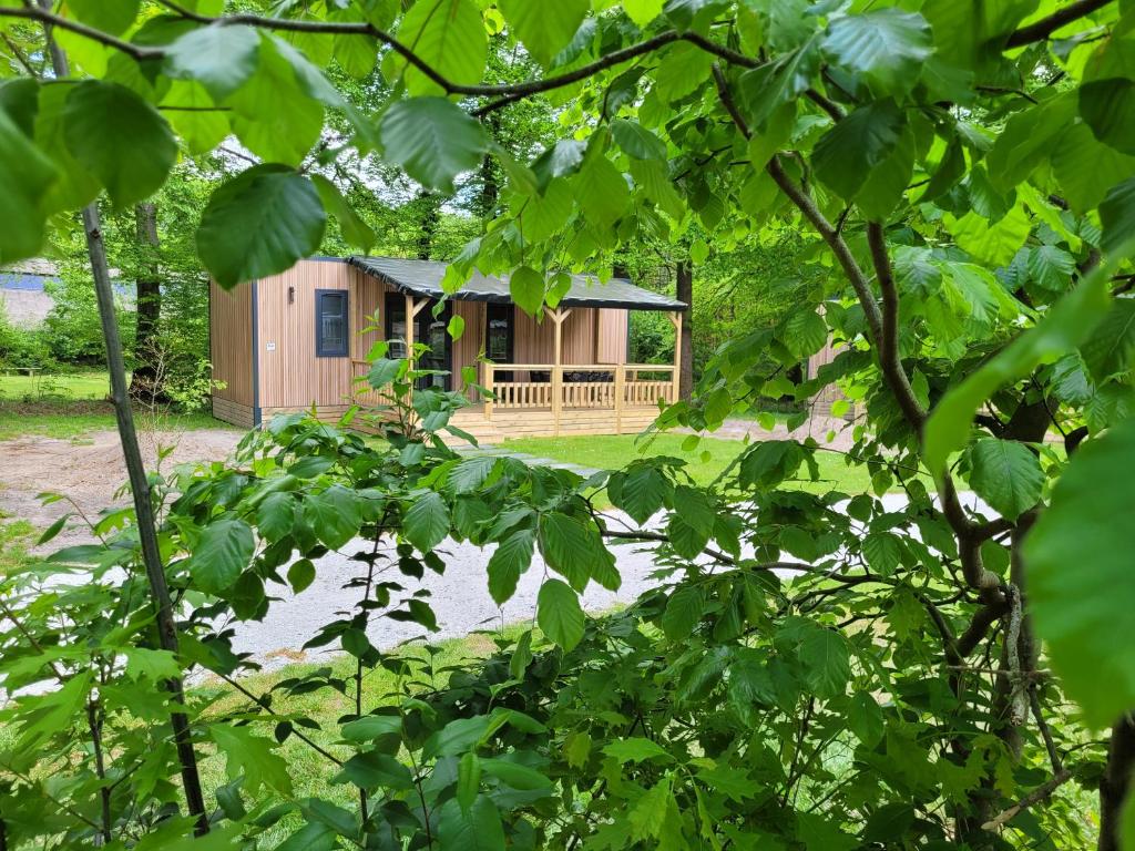 Boscamping Appelscha photo 2