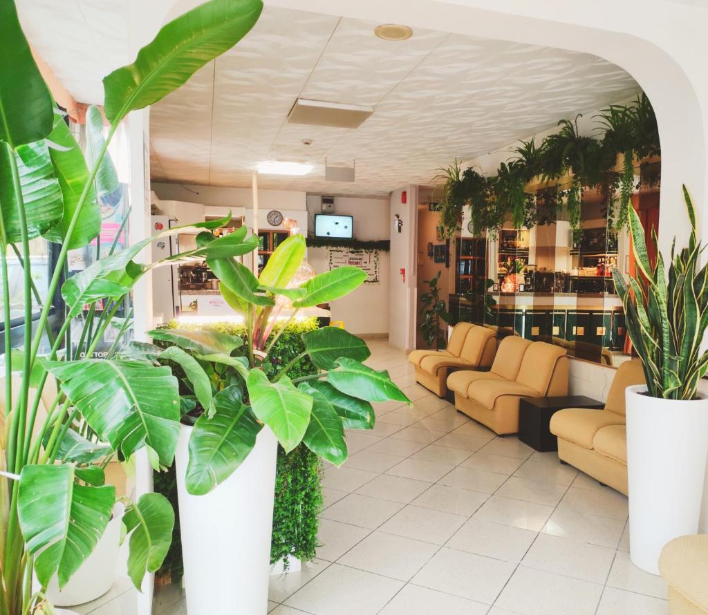 Hotel Zenith photo 1