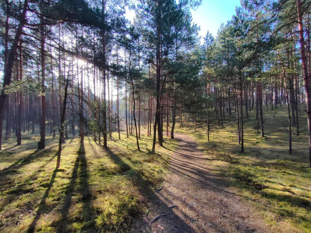 Zakątek Wdzydze nad samym jeziorem - pierwsza linia photo 2