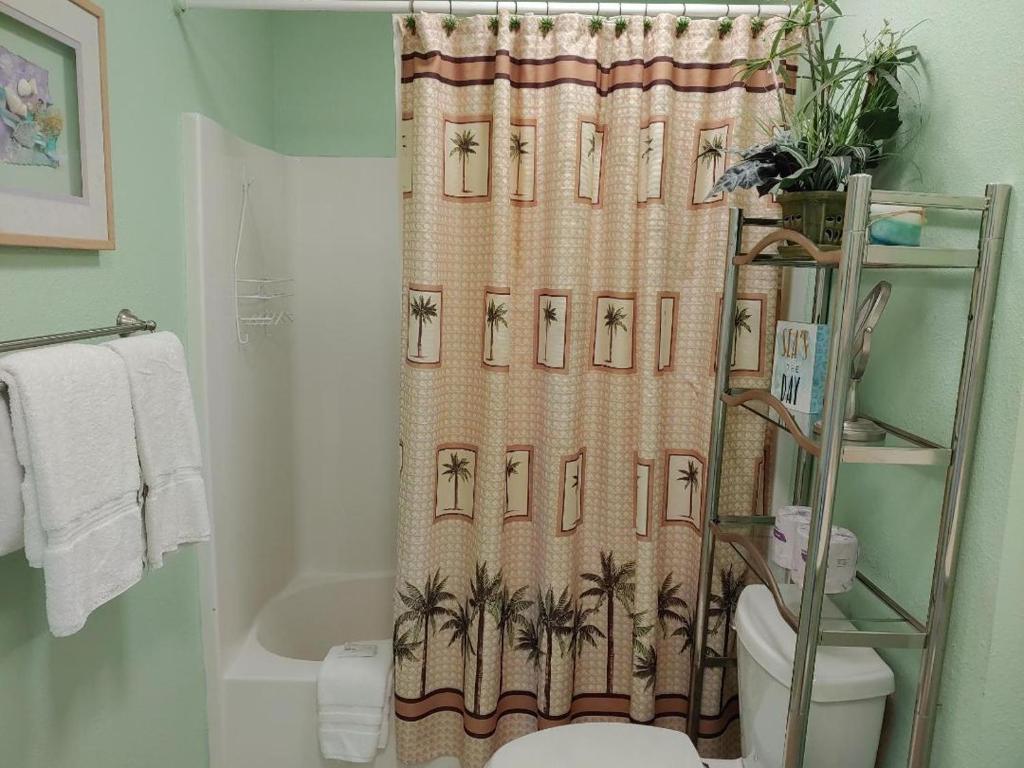 Bay Tree B5 photo 4