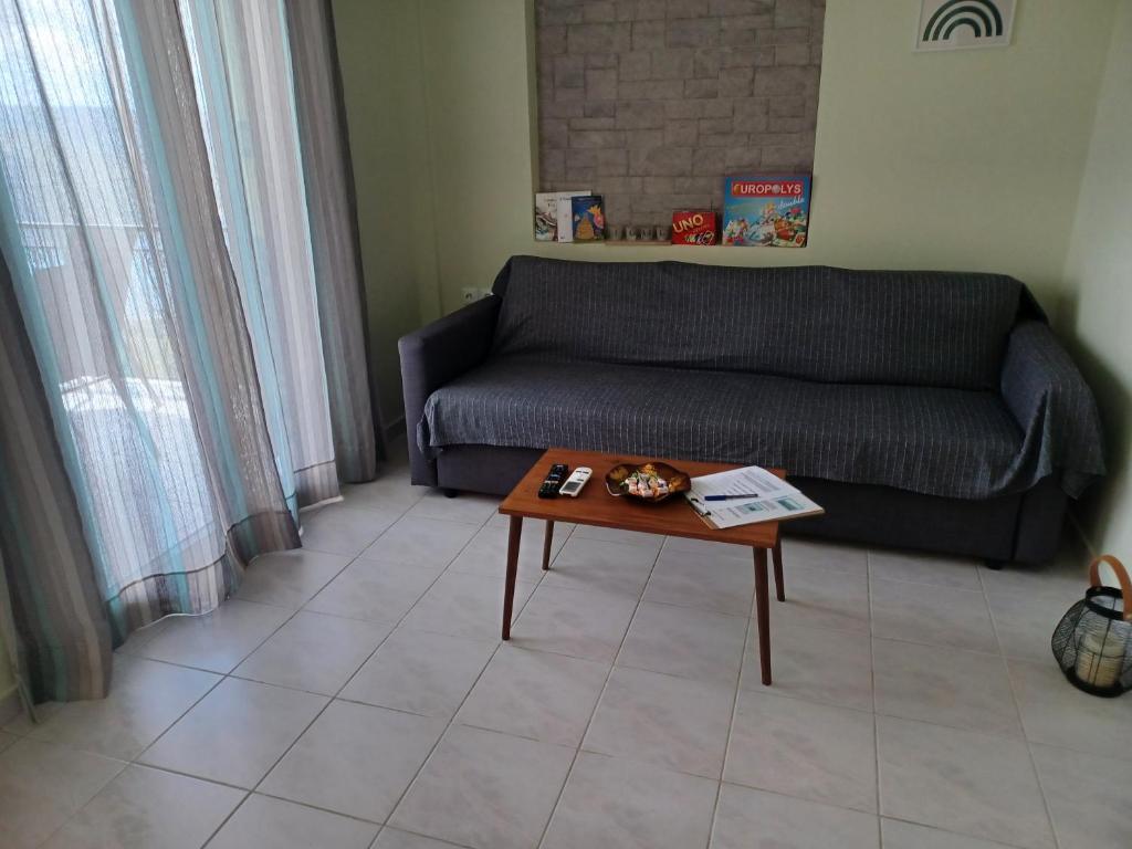 Frygano Apartments 1 photo 4