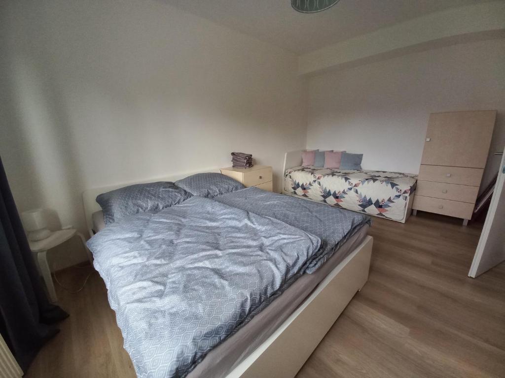 Zlatá Olešnice, pomezí Jizerek a Krkonoš photo 2