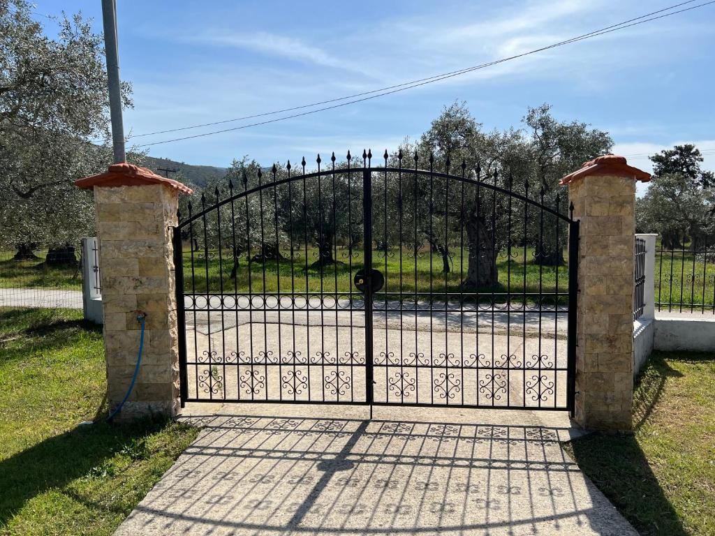 Villa Calypso photo 1