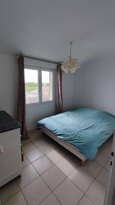 Appartement dans Mas camarguais photo 3