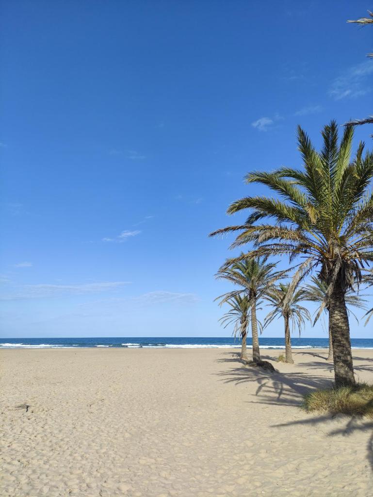 APARTAMENTO CON VISTAS EN LA PLAYA DE GANDIA