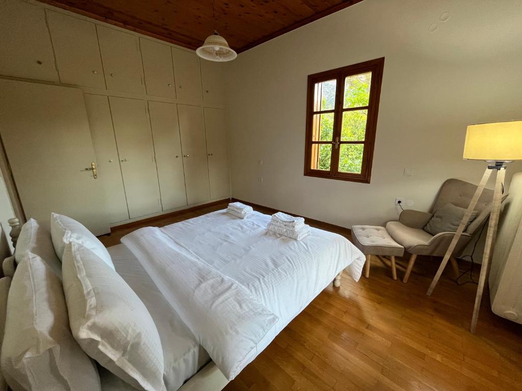 Lemon Tree House photo 3
