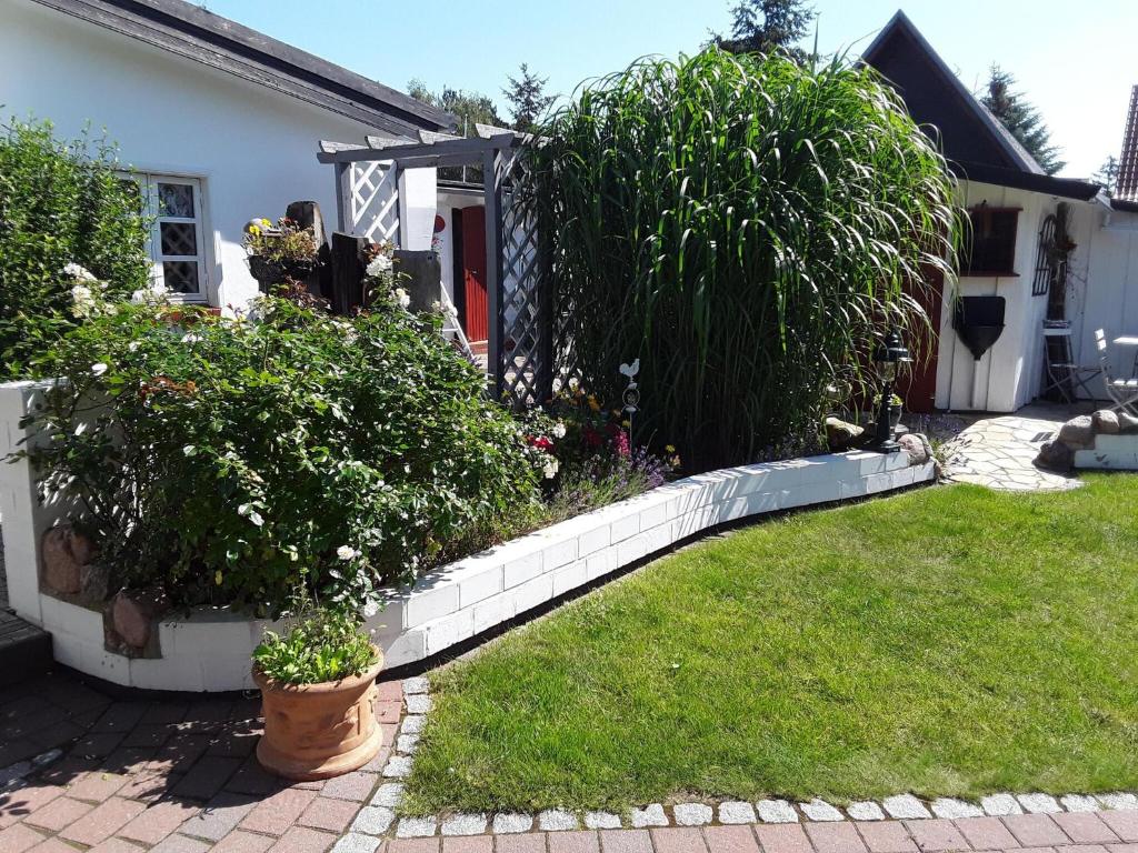 Cottage, Zempin photo 2