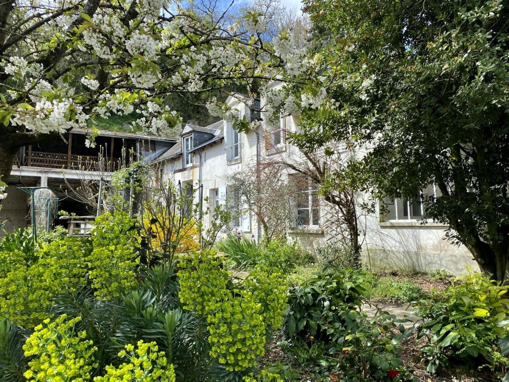 Gîte rénové avec piscine au cœur de Vendôme photo 1