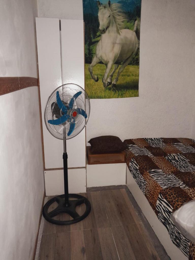 Alojamiento playa mansa photo 3