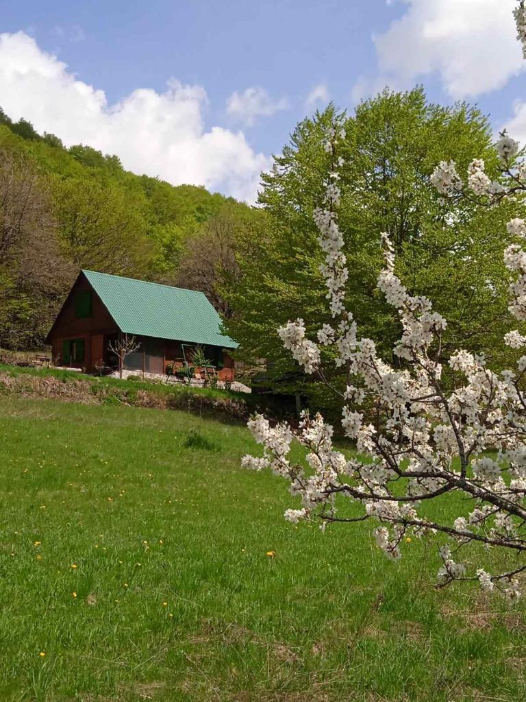 Naša kuća-Veruša photo 2