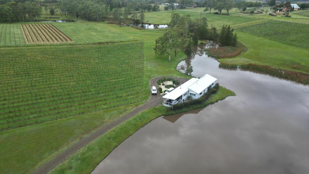 Lovedale Lakehouse Vineyard photo 2