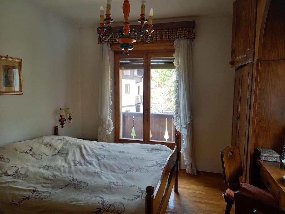 Appartamento a San Vito di Cadore photo 4