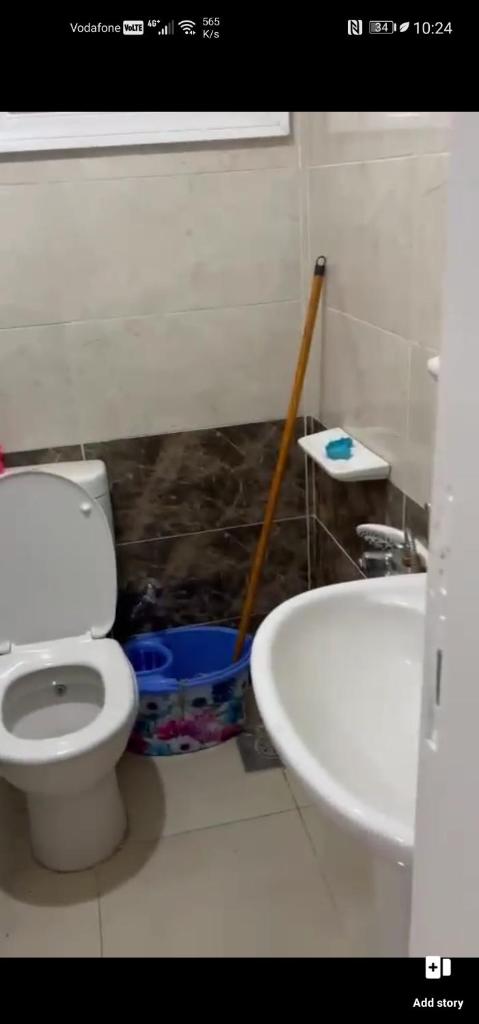 القاهره photo 1