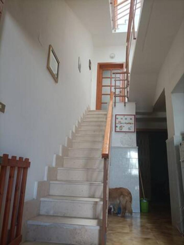 Camera in Casa Privata photo 4