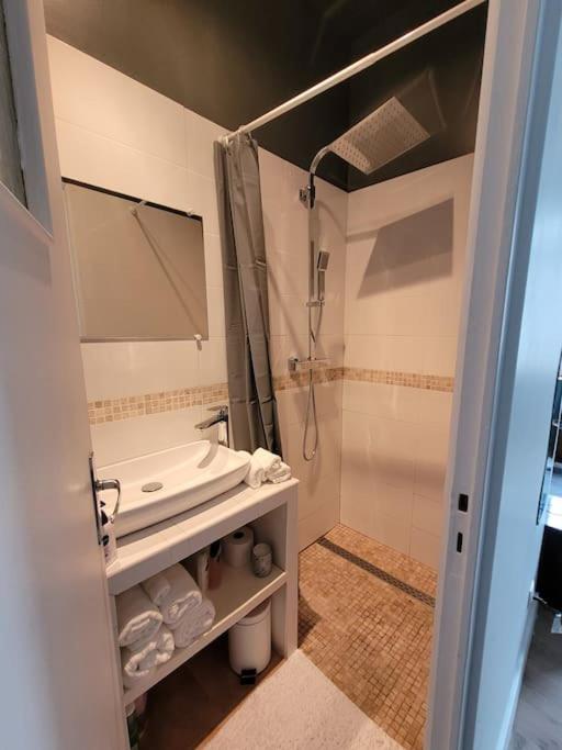 studio privé Centre Saint Louis photo 3