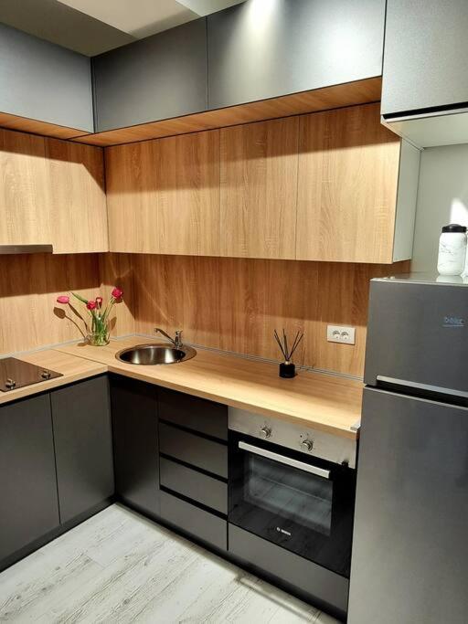 Apartman Rojal Vranje photo 2