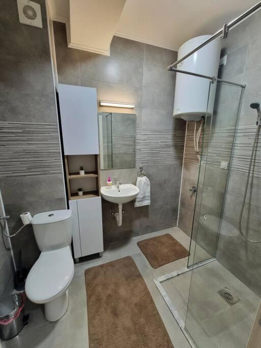 Apartman Rojal Vranje photo 4