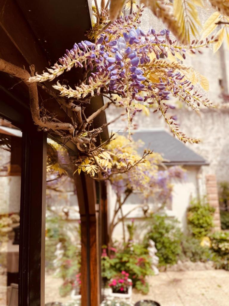 Hotel de la Sologne photo 4