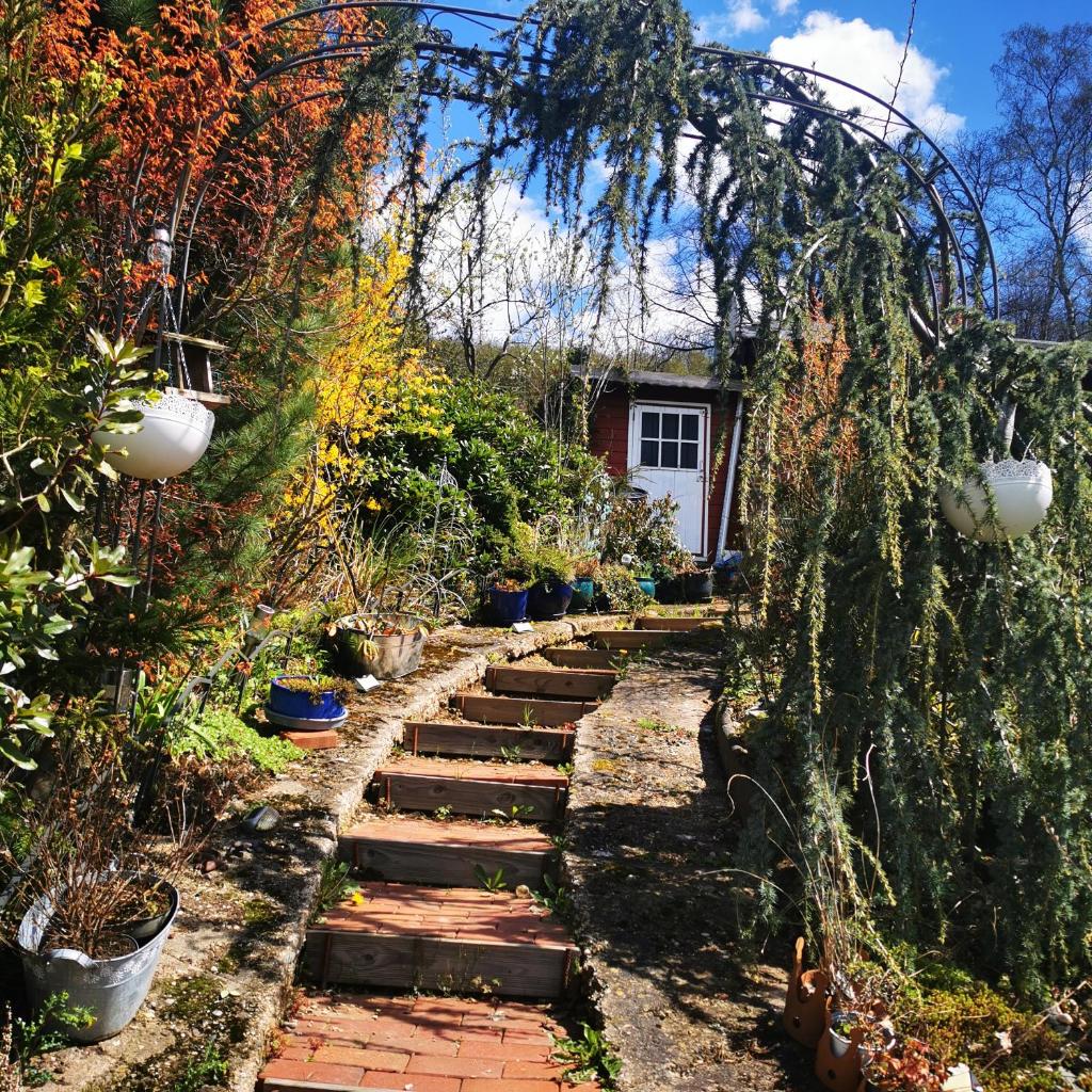 Ferienhaus mit riesen Garten, drei Terrassen, toller Aussicht am Waldrand, auch als Monteur-Wohnung photo 2