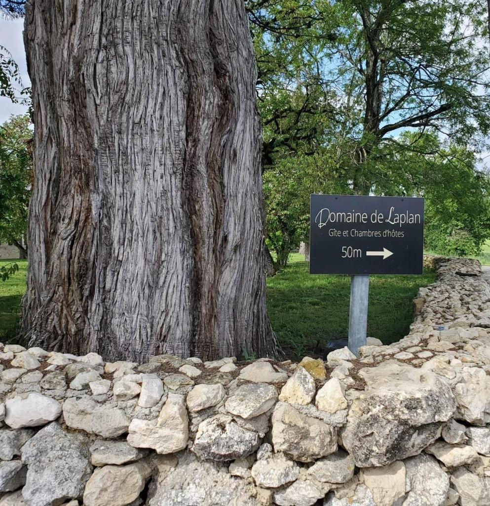 Domaine de Laplan photo 2