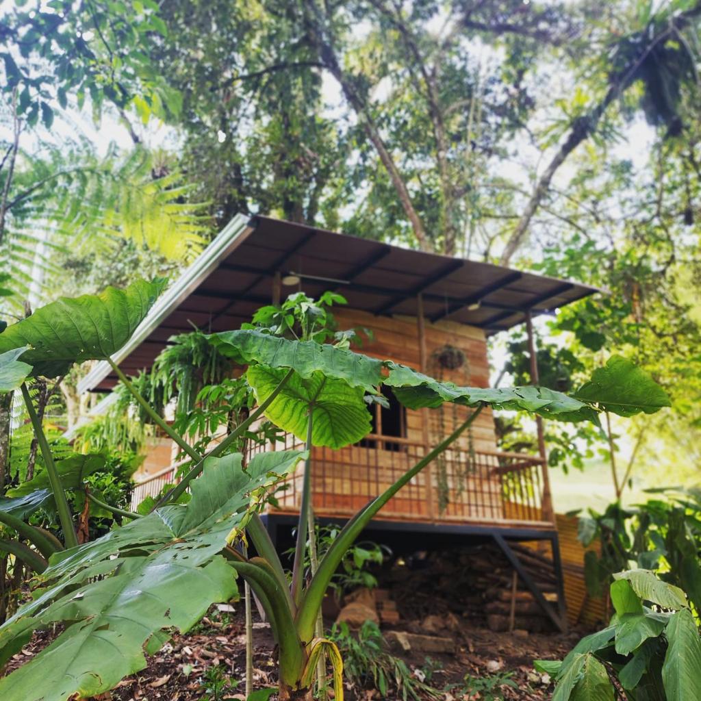 EcoaldeaHotel Aguaviva2 photo 2
