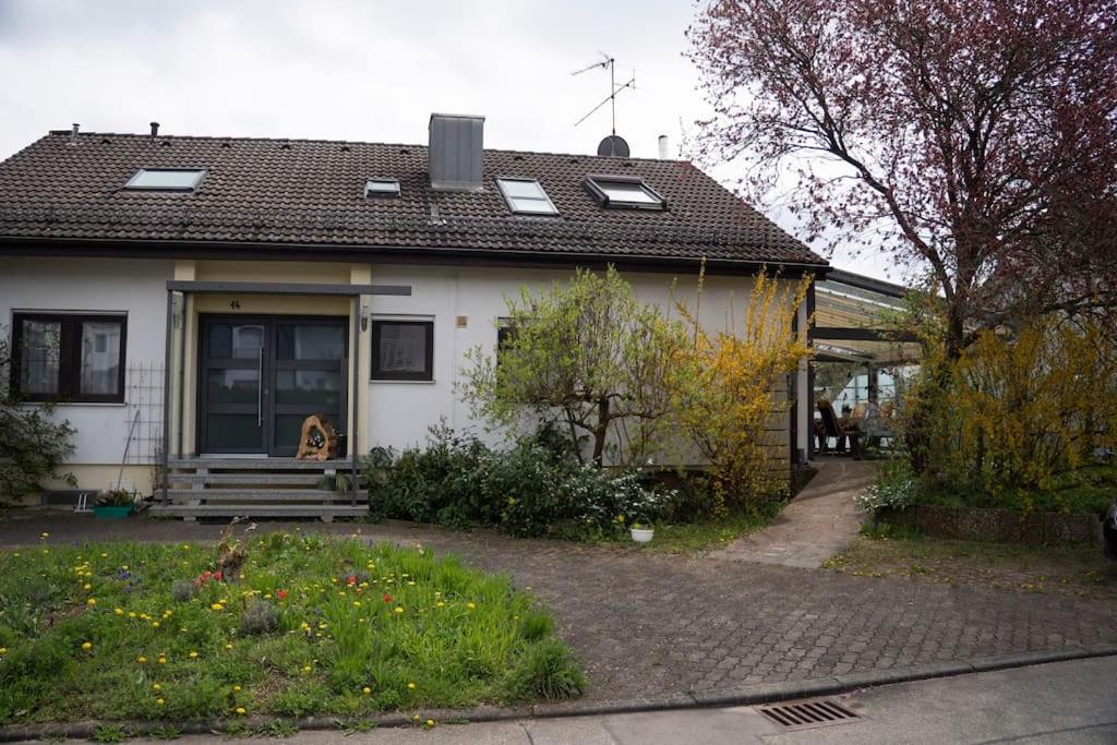Urlaub mit verglaster Terrasse photo 1