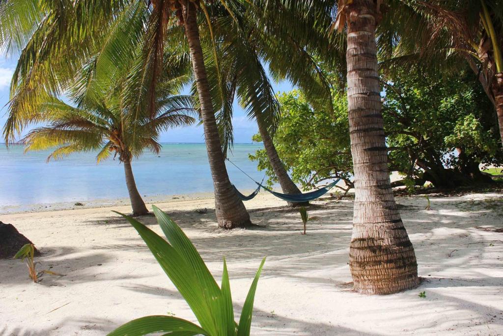 Paparei Beachfront Bungalows, Aitutaki photo 3