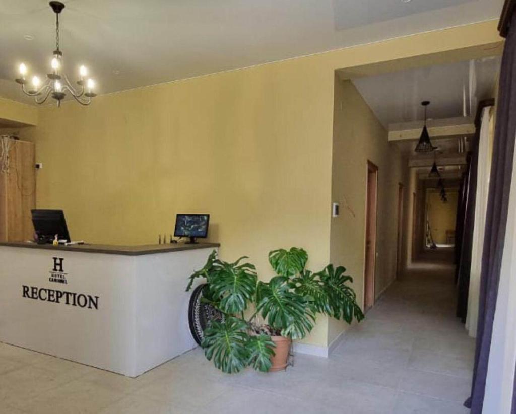 Hotel Canionel photo 2