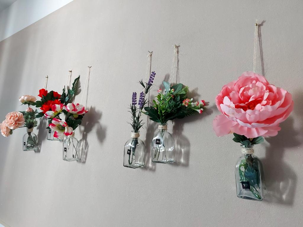 Grape's Home photo 2