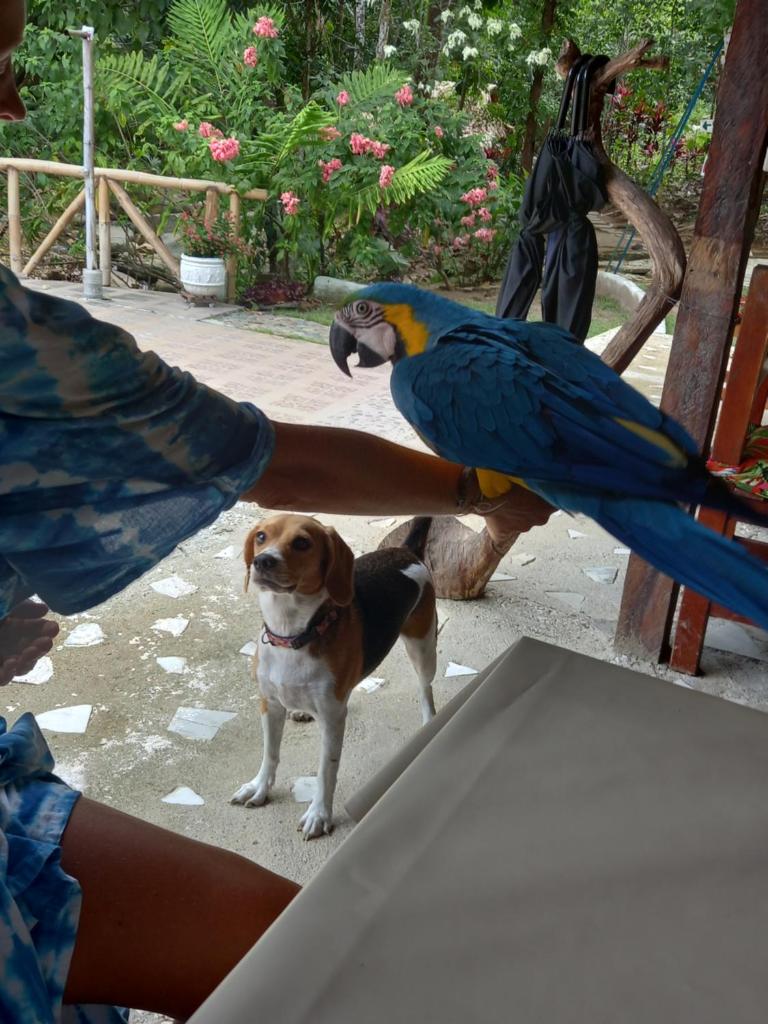 Entre Bosques Tayrona photo 4