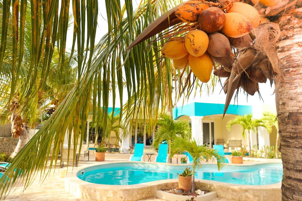 Aqua Viva Suites photo 3