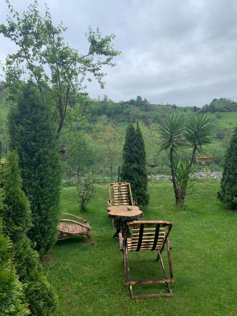 Zeni Konağı photo 1