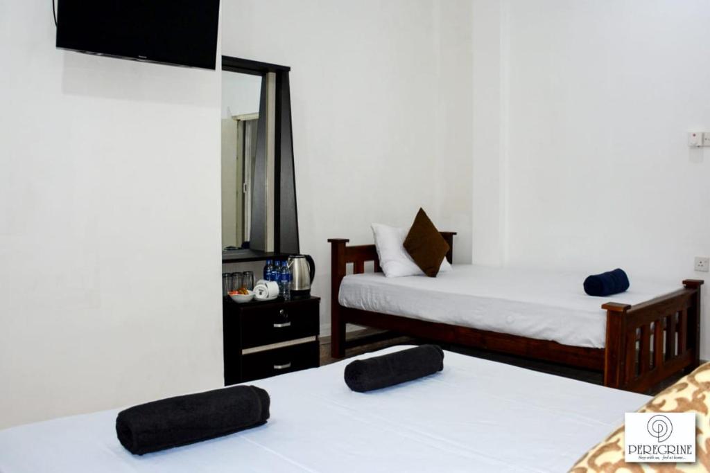 PEREGRINE Villa photo 3