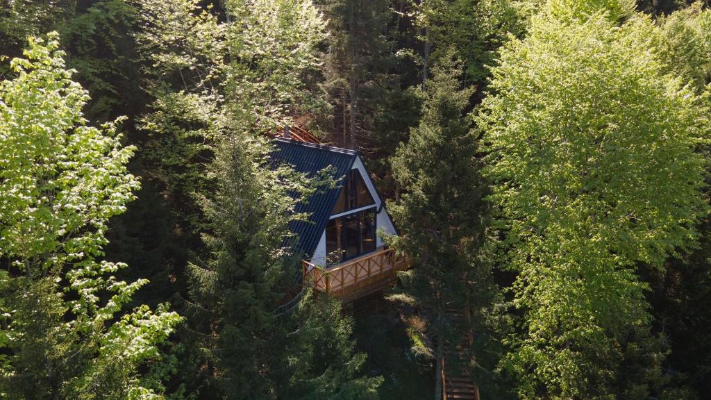 Montana Suite Bungalows photo 2