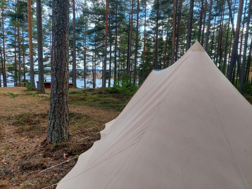 Volledig ingerichte tent op natuurcamping photo 1