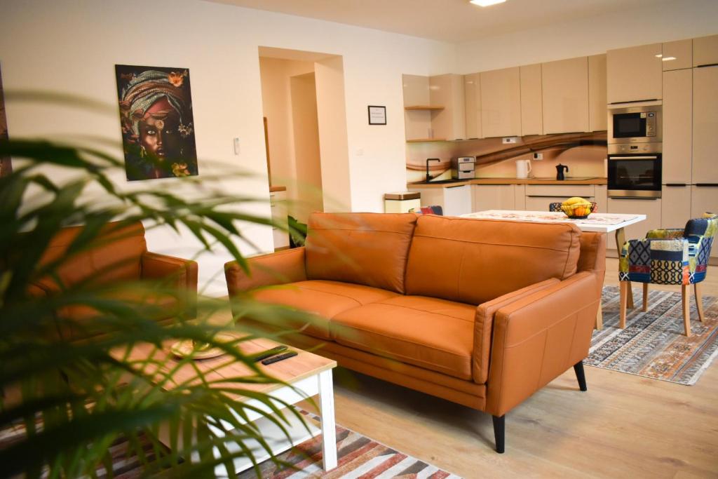 Apartment Anna photo 2