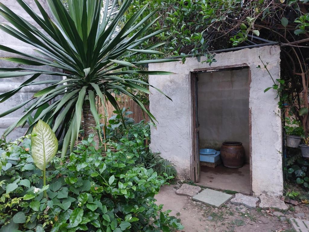 Thong Family Homestay Chiangdao photo 4