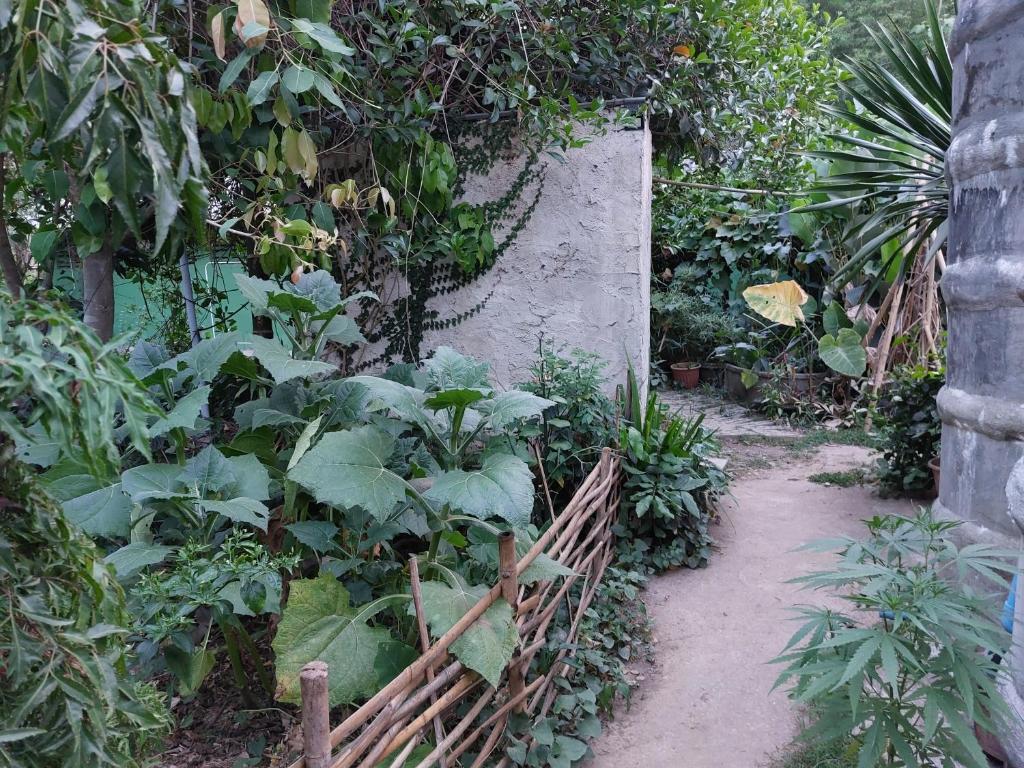 Thong Family Homestay Chiangdao photo 3