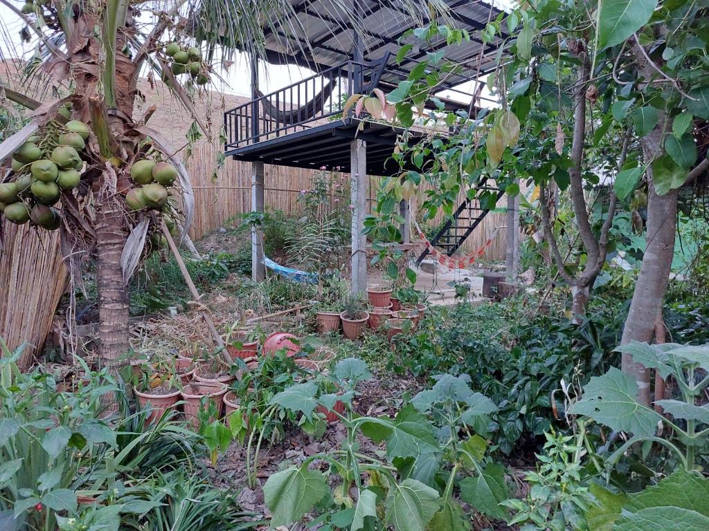 Thong Family Homestay Chiangdao photo 2