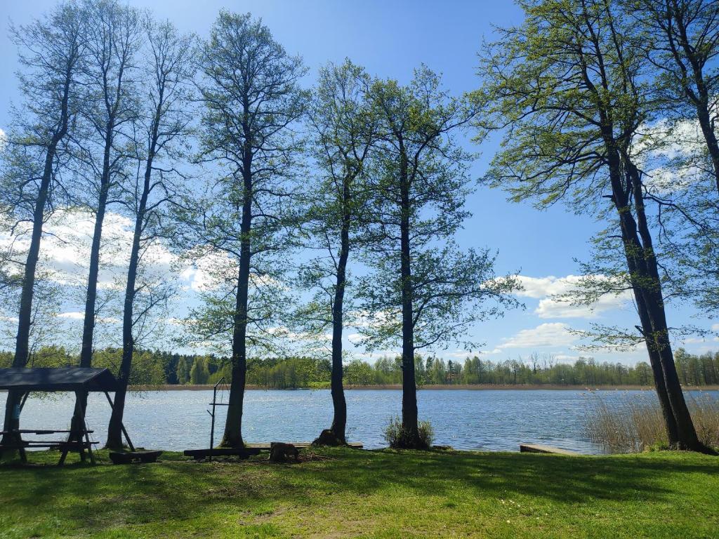 Domki z bali u Ireny Mazury photo 3