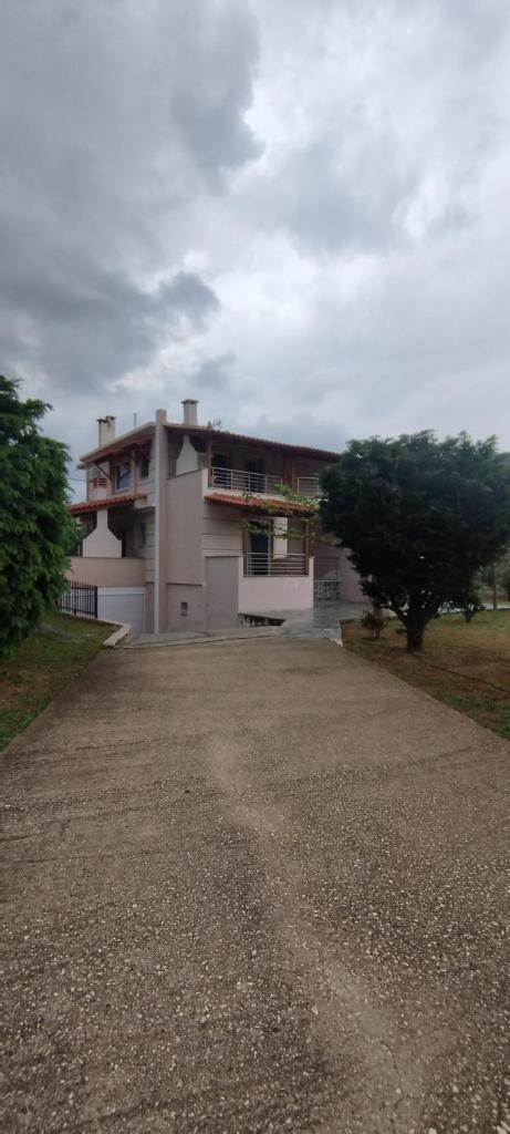 Villa Kazarma photo 2