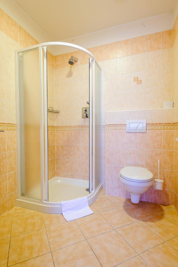 Одноместный (Стандартный одноместный номер), Отель Alexis