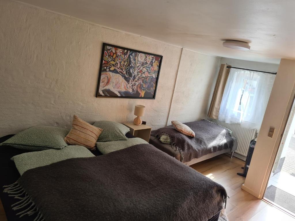 Trandafir Guesthouse photo 1