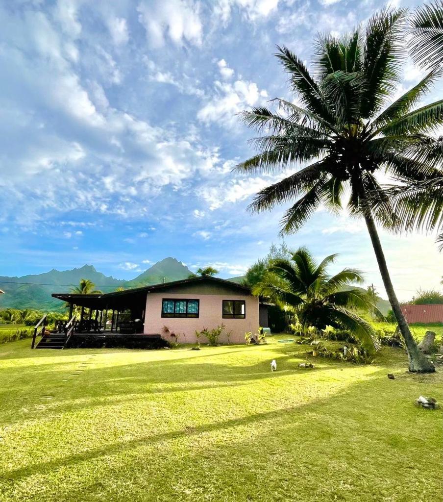 Kiikii Retreat photo 1