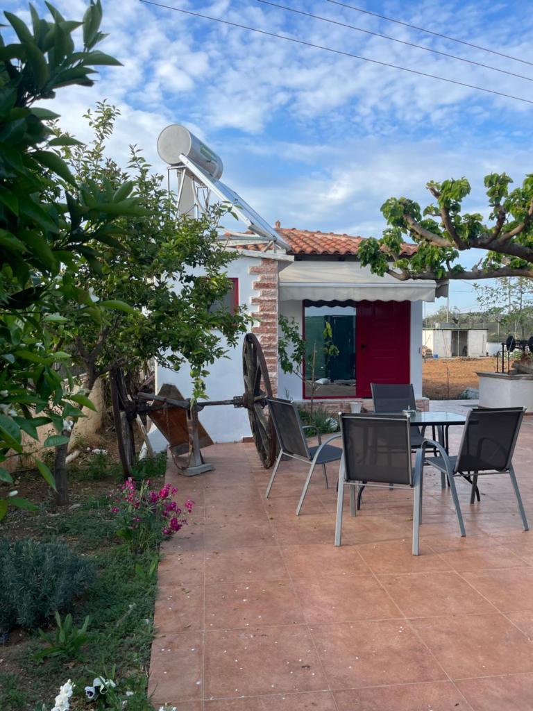 Country Lux Apartment near Airport photo 1
