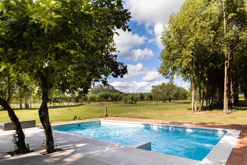 La Maria Casa Campo photo 3