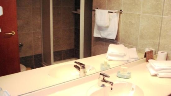 Двухместный (Двухместный номер с 2 отдельными кроватями), Hotel Irisa