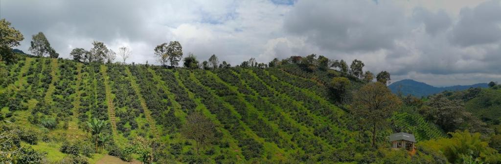 MoiraEcolodge photo 2