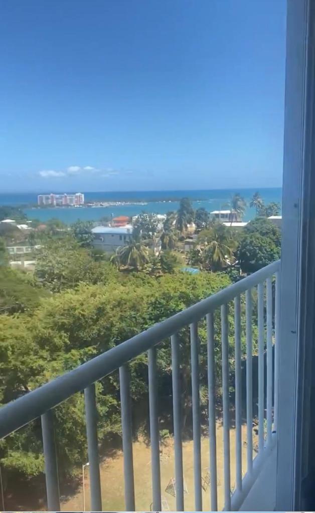 The Vue at Dos Marina